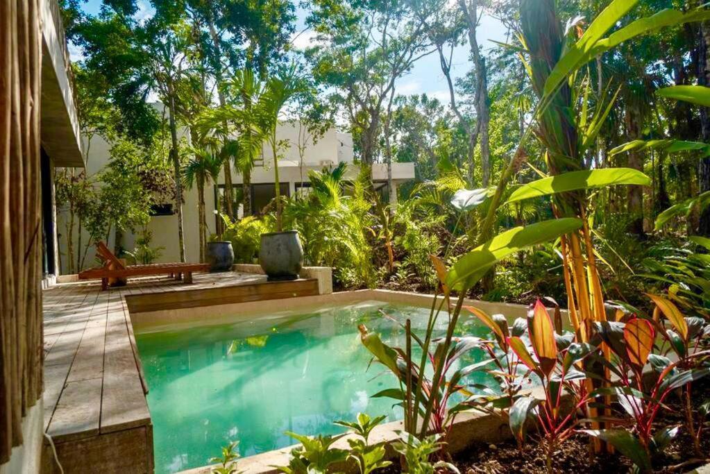 Villa Xuncari In The Heart Of The Jungle Tulum Eksteriør billede